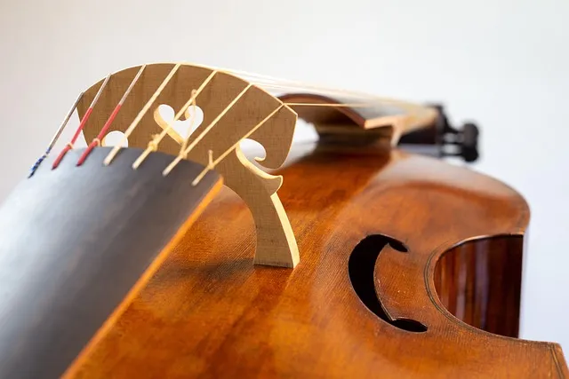 viola da gamba, musical instrument, strings, gut strings, frets,