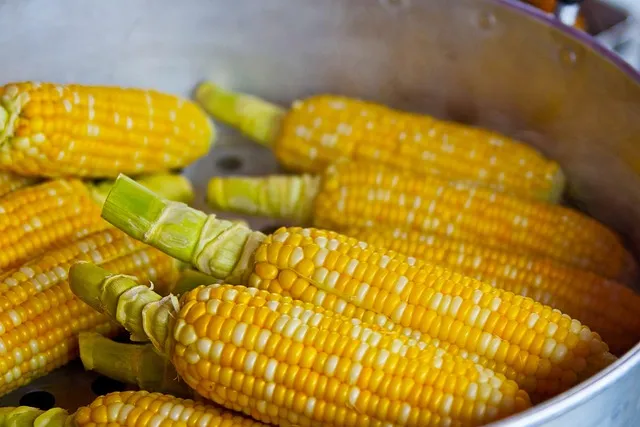 pop corn, yellow, popcorn, food, nutrition, eat, ingredient, corn, corn,