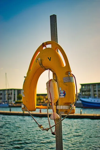 lifebelt, life buoy, floatation device, rescue, water