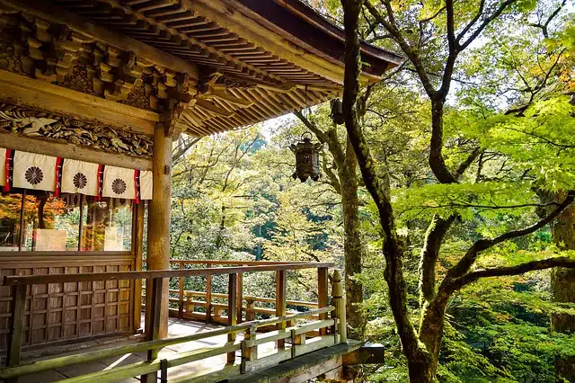 japan, landscape, natural, outdoor, japanese landscape, green, japanese