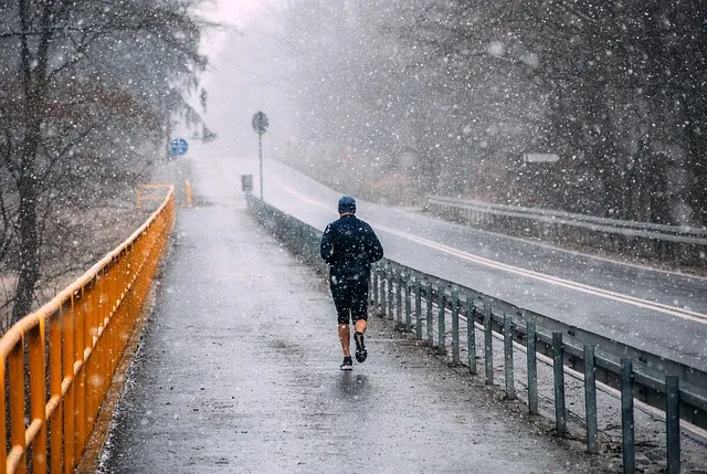 guy, the path, street, trees, forest, arm, asphalt, the fog, scenery, a