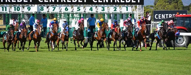 horses, racing, jockey, sport, rider, track, thoroughbred, jockey, jockey,