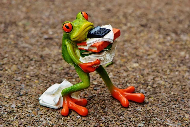 frog, figure, files, stack, nature, pile of files, office, decoration,