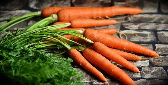 carrots, vegetables, harvest, healthy, nutrition, food, produce, fresh, raw,