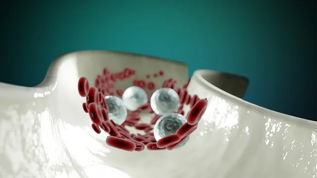 blood cells, anatomy, healthcare, circulatory system, circulation, artery,