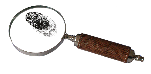 magnifying, glass, detective, mystery, lens, magnifier, discovery, tool,