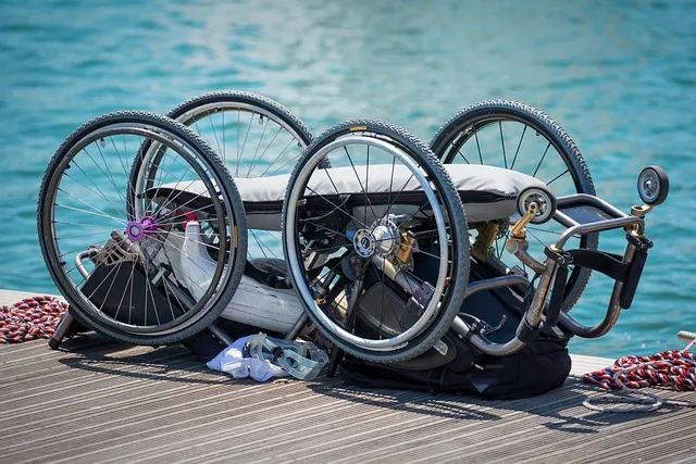 disabled, wheelchair, disability, patient, rehabilitation, mobility,