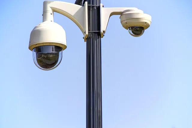 rotary cameras, monitoring, security, surveillance, police, investigation,