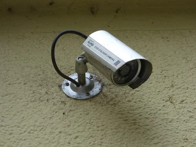 camera, observation, preview, cameras, monitoring, security camera, video,