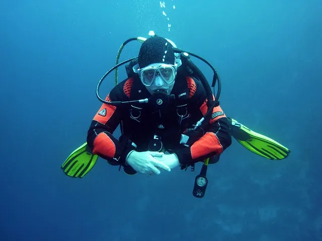 diver, nature, scuba divers, dive, underwater, underwater world, diving