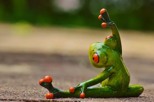 sports, gymnastics, frog, fun, fitness, fit, athletic, training, gymnastics,
