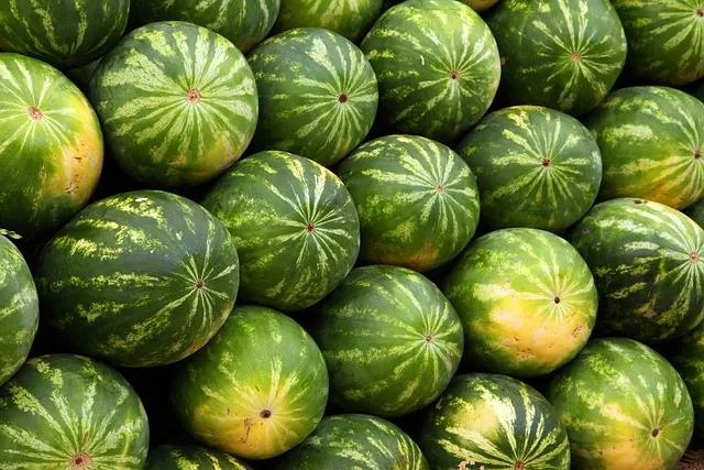 watermelons, fruits, mac wallpaper, wallpaper 4k, hd wallpaper, produce,