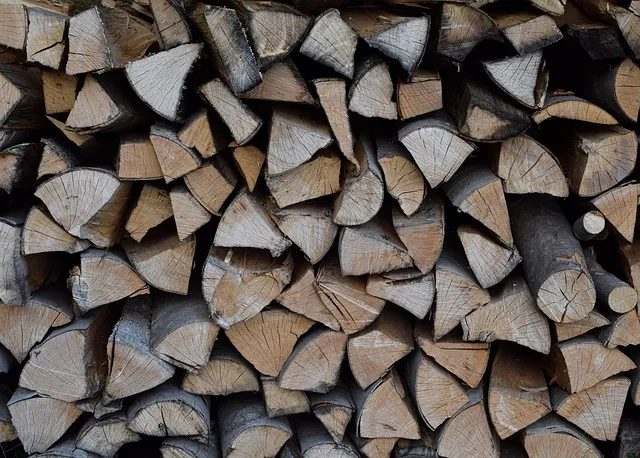 wood pile, firewood, to cut, protocol, lots, heap, resource, energy,