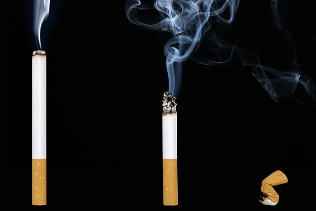 cigarette, smoke, nicotine, seeks, ash, smoker, tobacco, cigarette butts,