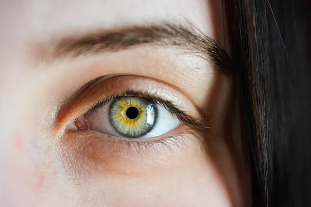 eye, iris, macro, natural, girl, eyebrows, detailed, green, brown, view,