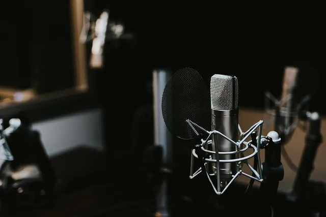 recording studio, indoors, mic, microphone, sound, sound recording, studio,