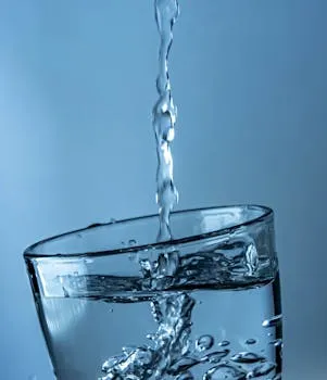 Daily Water Gains and Losses: The Balance Sheet