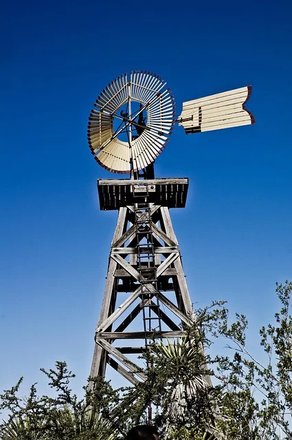 desert, texas, nature, big bend, when mail, blue email, blue desert