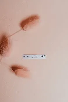 A minimalist pink background featuring text are you ok? with delicate pink