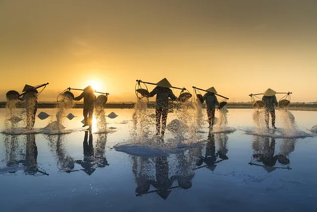 salt harvesting, vietnam, water, salt, work, people, reflection, hon khoi,