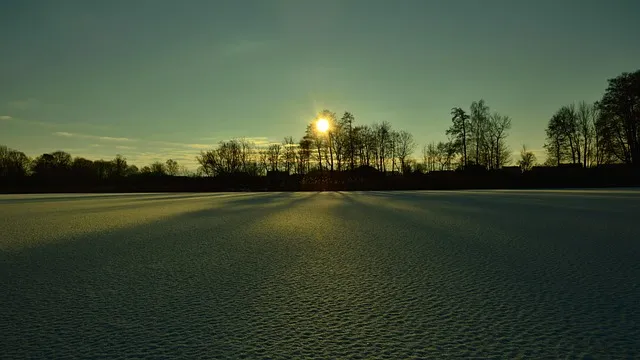 winter, landscape, joint