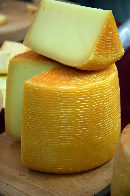goat cheese, cow cheese, cheese, milk, dairy, making, product, production,