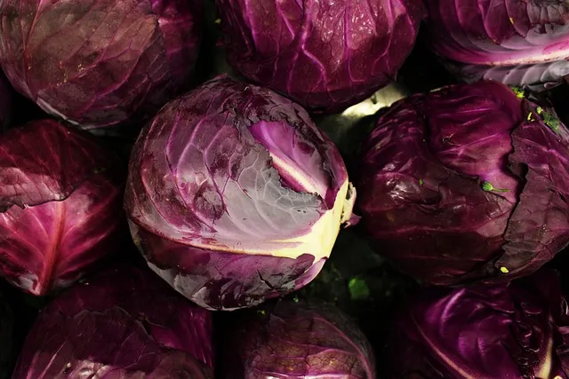 the purple cabbage, wallpaper hd, purple, floral background, cabbage, purple