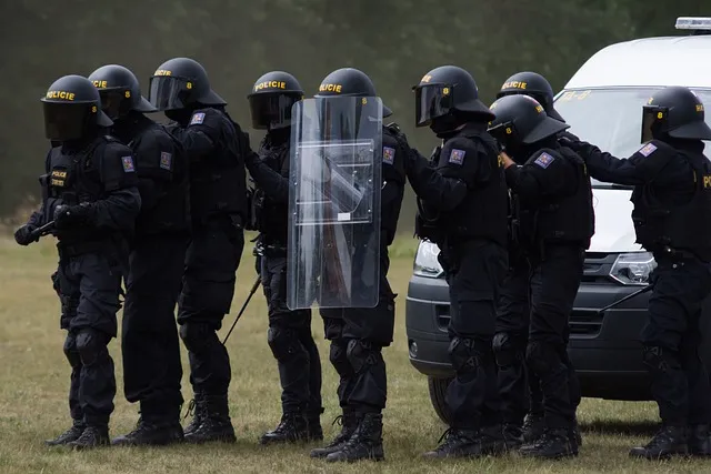 police, urn, esu, the riot squad, intervention, action, police, police,