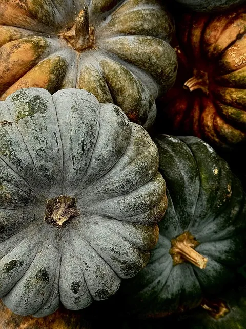 pumpkins, halloween, october, fall, halloween background, season,