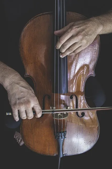 cello, classical music, musician, jazz, fingers, sound, cellist,
