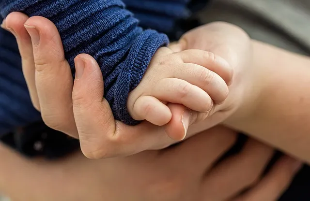 toddler hand, childs hand, hand, trust, hands, closeness, affection, hold