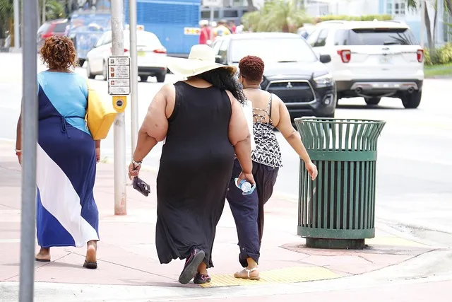 obesity, fat, nutritionist, city, people, metropolis, steps, obesity,