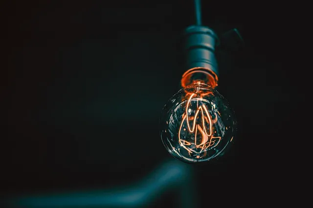 bulb, light, idea, electricity, energy, bulbs, nature, glow, innovation,