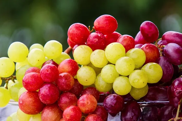 grapes, fruit, cluster, grape, fresh fruits, fresh, fresh grapes, harvest,