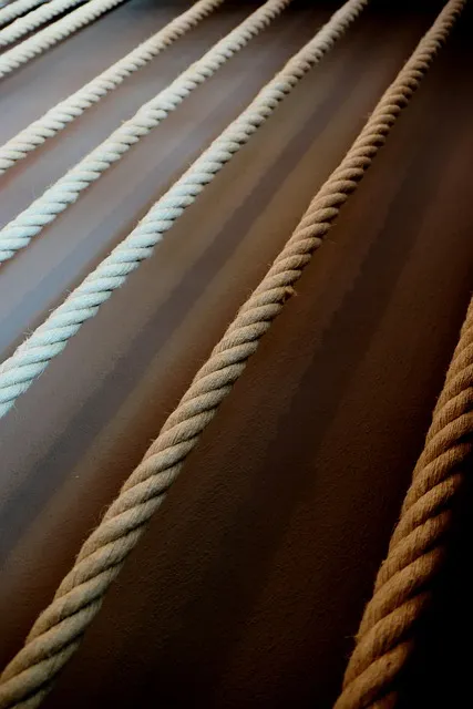 ropes, dew, cord, wrapped, tether
