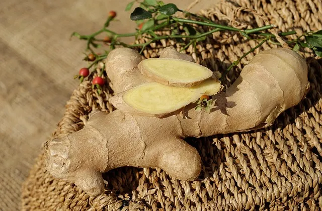 ginger, ingber, immerwurzel, root, sharp, seasoning, food, medicinal plant,