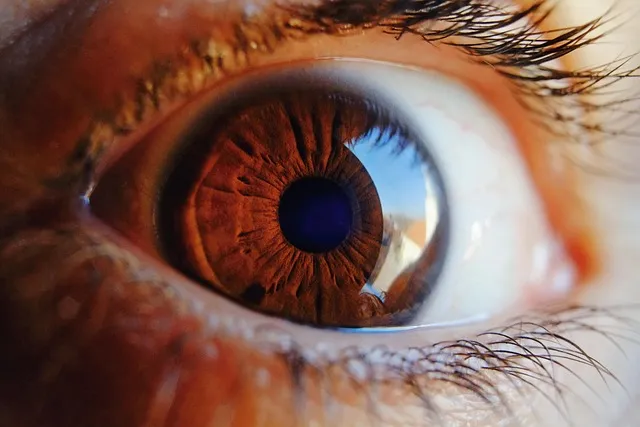 eye, macro, vision, human, iris, woman, look, pupil, female, eyeball,
