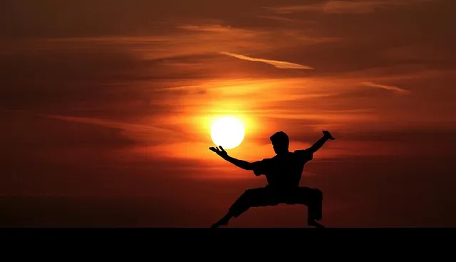 fu, kung, kungfu, master, silhouette, martial, china, art, mental, japanese,