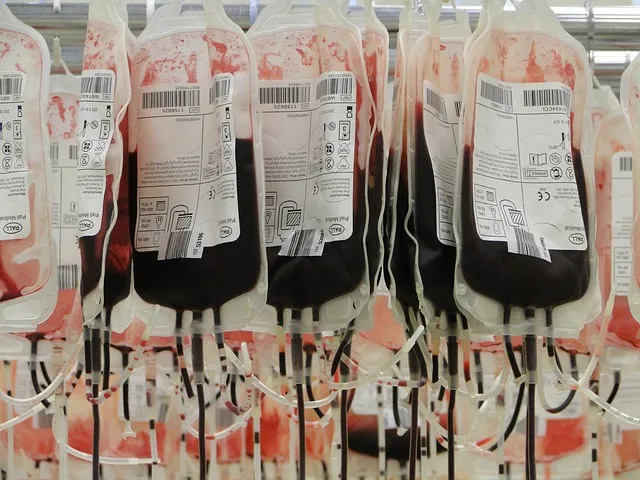 blood bags, red, red blood cells, blood donors, blood bags, blood bags,