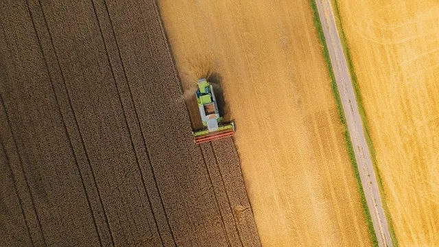 combine harvester, harvest, farm, combine, barley, crop, field, agriculture,