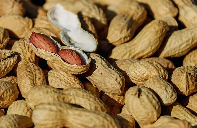 nuts, peanuts, roasted, snacks, healthy, delicious, roasted peanuts, peanut