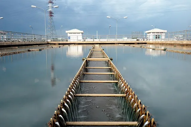 sedimentation basin, treated water plant, thuduc, hochiminh city,