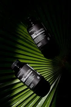 Saw Palmetto supplement bottles displayed on a green palmetto leaf,