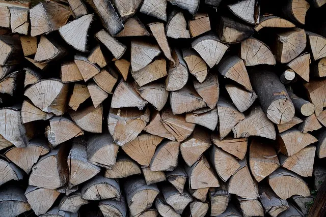 wood pile, firewood, to cut, protocol, lots, heap, resource, energy,