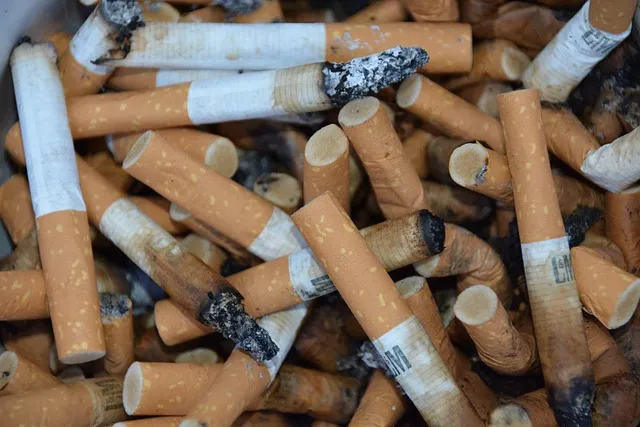 cigarettes, seeks, garbage, nicotine, smoking, consumption, smoke, lung