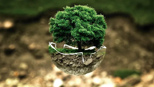 environmental protection, environment, the atmosphere, fragile, surreal,