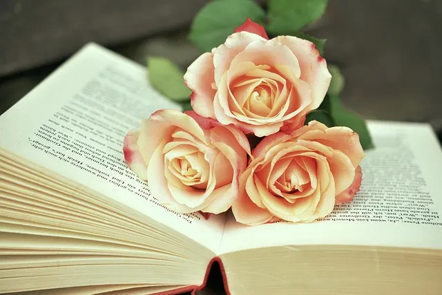 a book, book pages, read, roses, romantic, literature, pages, paper, scroll,