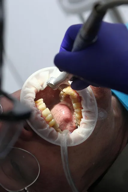 dentist, oral health, dental health, oral hygiene, dental hygiene, teeth,