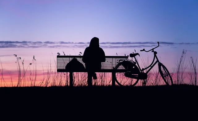 sunset, silhouette, twilight, landscape, nature, freedom, lonely, peace,