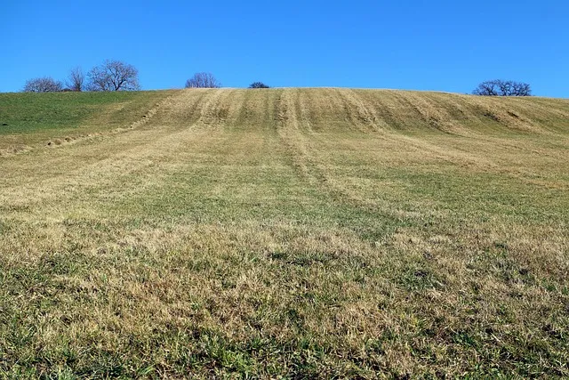 meadow, hill, horizon, beyond the horizon